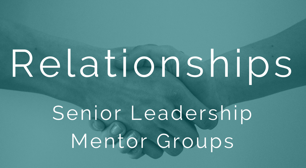 Relationships - Senior Leadership Mentor Groups